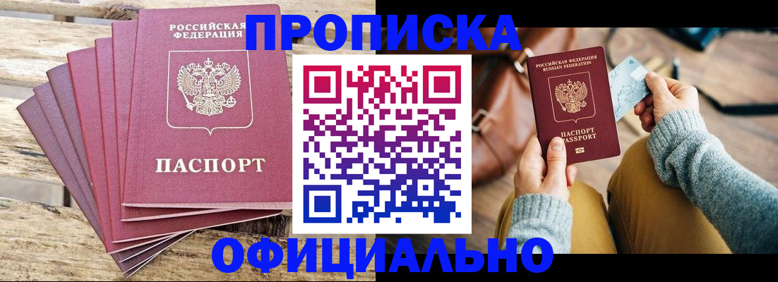 где прописаться в Павловске